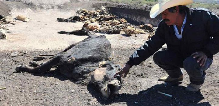 Tardan en Durango para solicitar declaratoria de emergencia Tardan en Durango para solicitar declaratoria de emergencia
