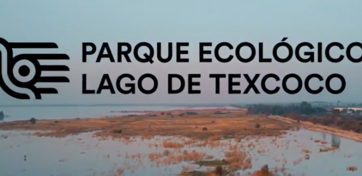 Parque Ecológico de Texcoco costará 17 mil mdp, otra megaobra de 4T Parque Ecológico de Texcoco costará 17 mil mdp, otra megaobra de 4T