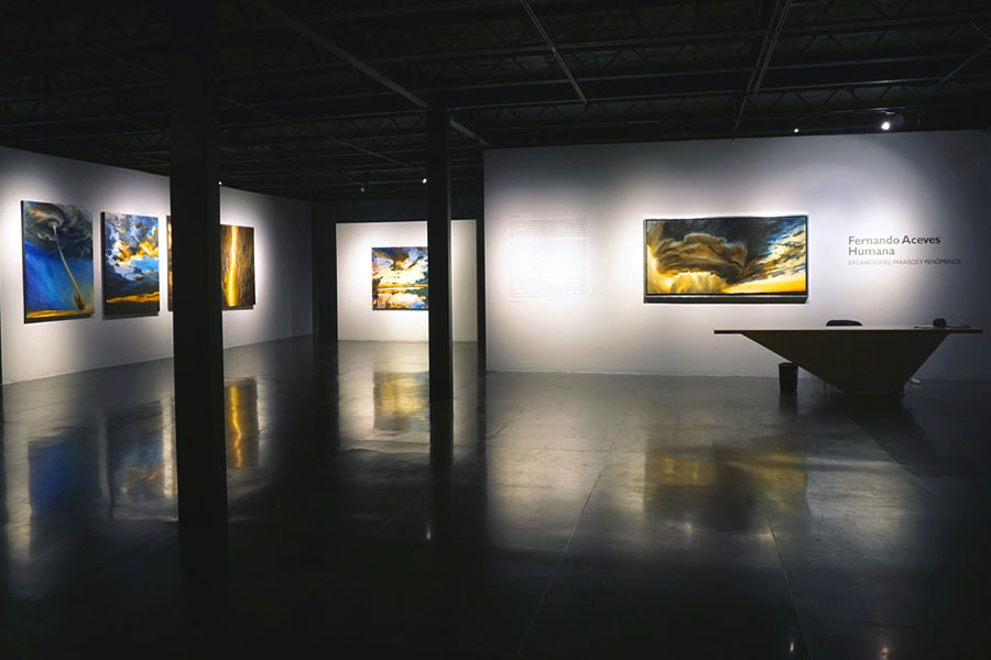 Exhibe el pintor Fernando Aceves Humana la muestra Excavaciones, paraísos y fenómenos
