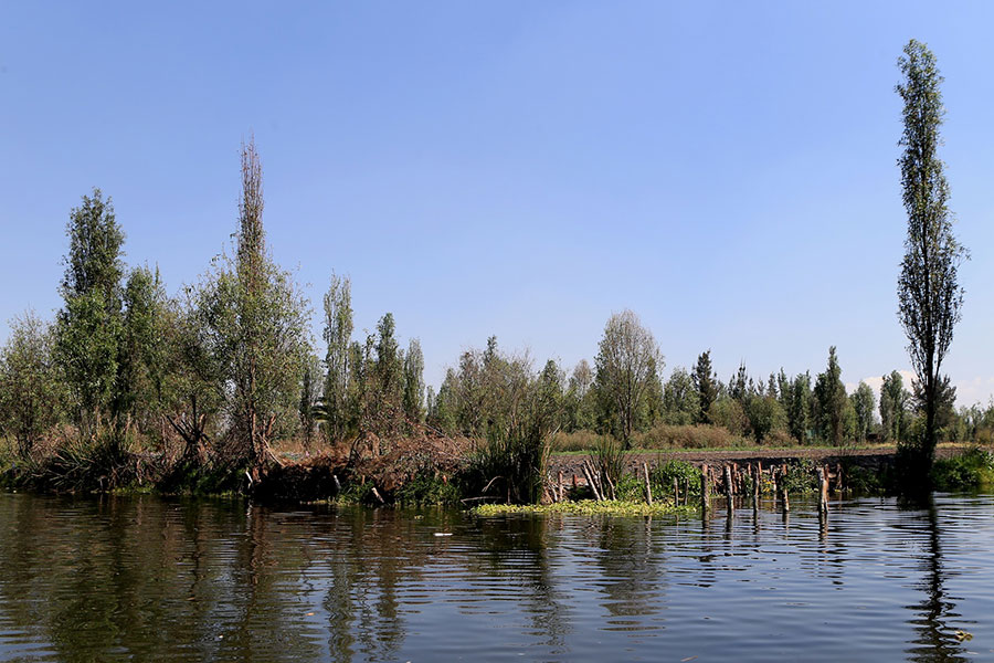 Trabaja la UAM en la recuperación de chinampas afectadas por el sismo