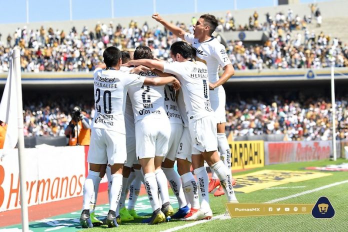 Chivas y Pumas, a confirmarse en sus grupos en fase regular de Copa MX