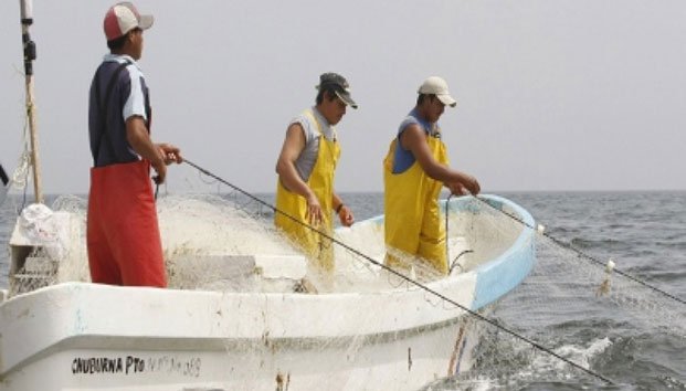 Marina recupera redes que dañan especies marinas