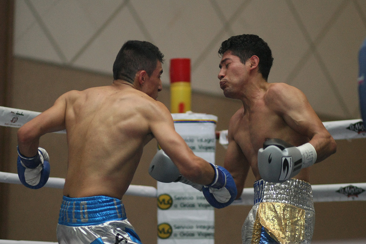 Hugo Guerreros superó a Gerardo Castillo en función de box en Aguascalientes