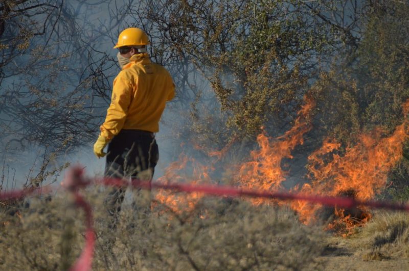Arrasa incendio forestal con 80 hectáreas al sur de Saltillo