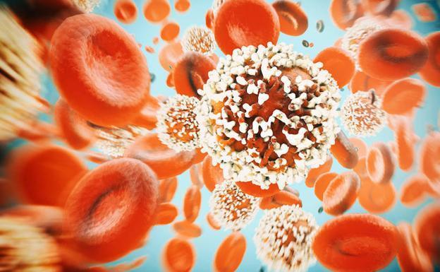 Alistan Red Nacional de Registro de Cáncer