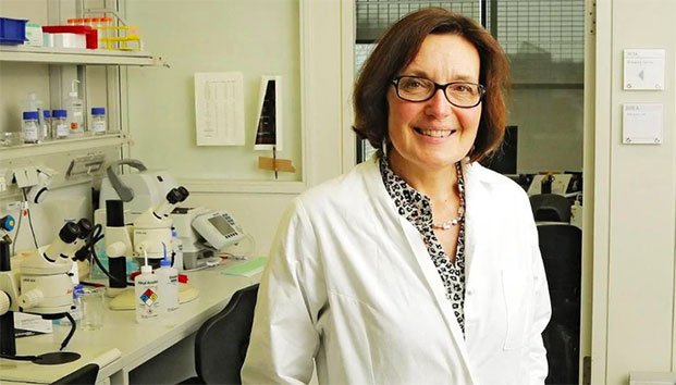 Hallan muerta a bióloga en búnker de la II Guerra Mundial