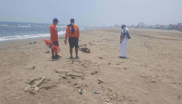 Rescata Semar a una persona en playas de Veracruz
