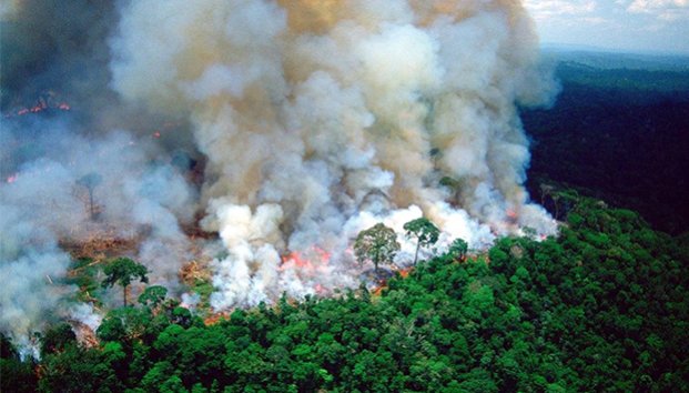 Se lanza Macron contra Bolsonaro por incendios en el Amazonas