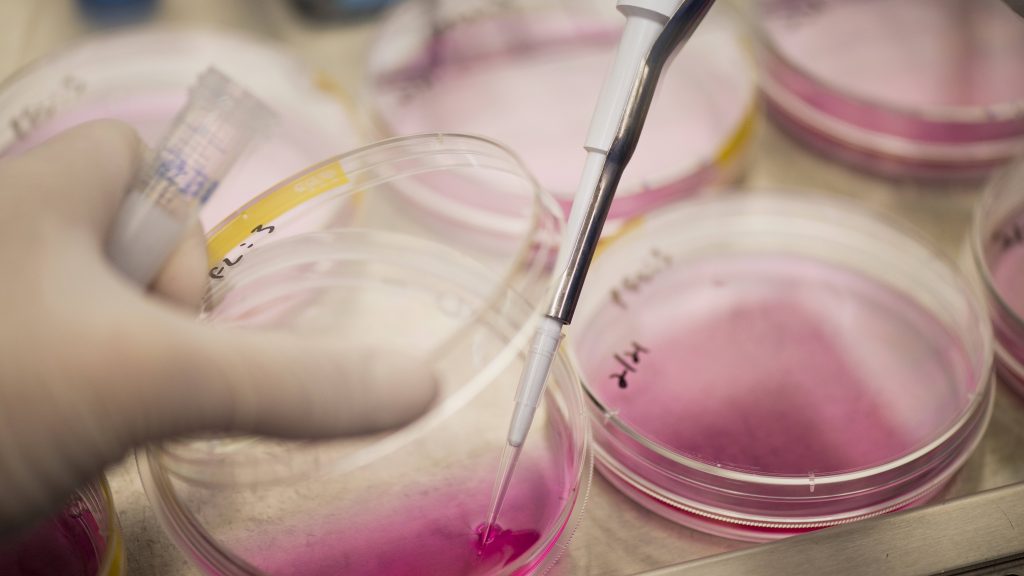 Análisis genéticos pueden llevar a mejor detección del cáncer e intervenciones