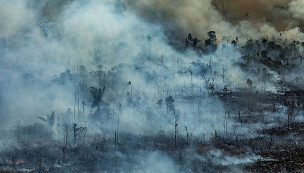 Así se desató la crisis de incendios que sufre la Amazonia
