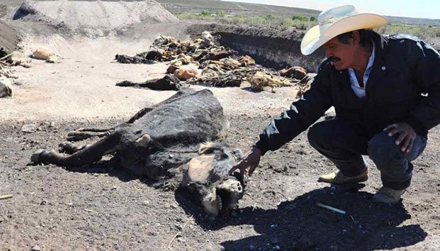 Tardan en Durango para solicitar declaratoria de emergencia