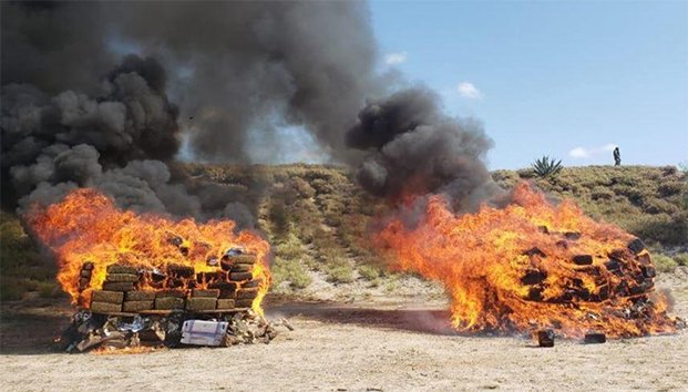 Destruyen 60 toneladas de narcóticos en Nuevo León