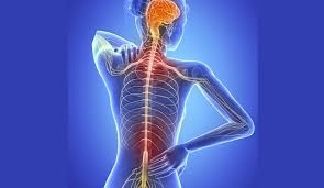 Proponen acciones de política pública para mejorar situación de pacientes con Esclerosis Múltiple