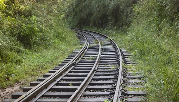 Gobierno federal alista reserva de recursos para el Tren Maya