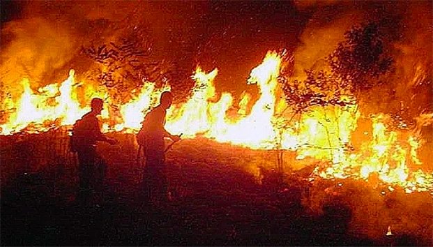 DiCaprio responde a Bolsonaro; niega financiar incendios en Amazonia