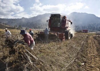 Sequía afecta al 46 por ciento del territorio mexicano