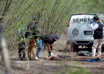 México suma 117 mil 388 homicidios dolosos en lo que va del sexenio de AMLO