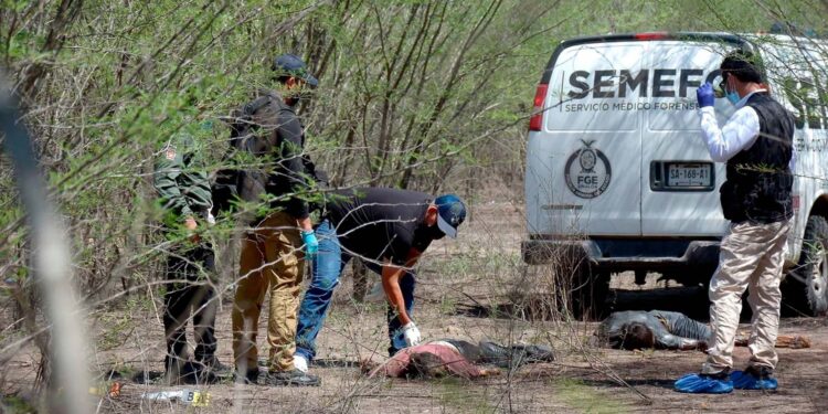 México suma 117 mil 388 homicidios dolosos en lo que va del sexenio de AMLO