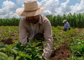 Se estanca la actividad económica de México en febrero
