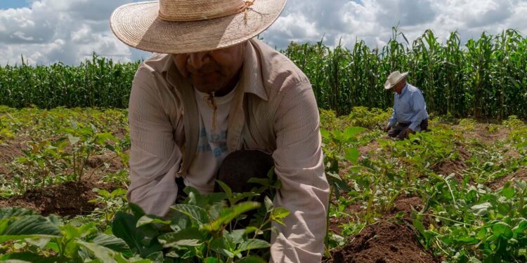 Se estanca la actividad económica de México en febrero