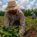 Se estanca la actividad económica de México en febrero