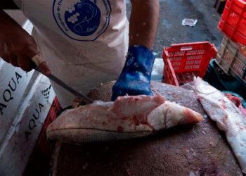 Alimentos más caros: Inflación ensombrece la Cuaresma para las familias mexicanas