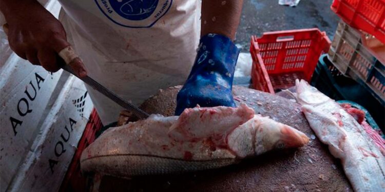 Alimentos más caros: Inflación ensombrece la Cuaresma para las familias mexicanas