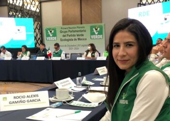 El Partido Verde expulsa a diputada por votar en contra de la reforma eléctrica