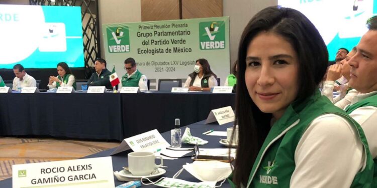 El Partido Verde expulsa a diputada por votar en contra de la reforma eléctrica