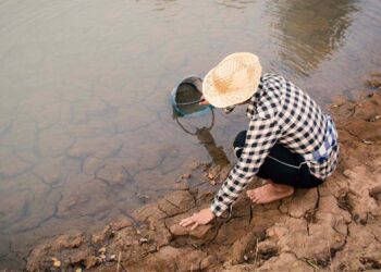 Se agrava sequía en México￼