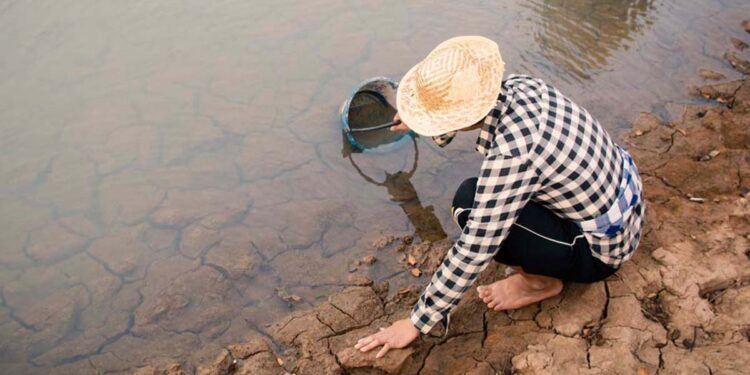 Se agrava sequía en México￼