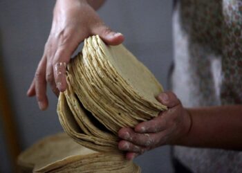 Sube el precio del maíz… y se dispara a 27 pesos el kilo de tortilla