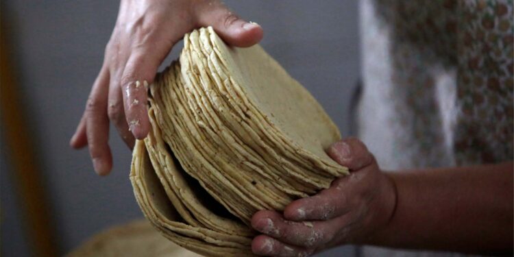 Sube el precio del maíz… y se dispara a 27 pesos el kilo de tortilla