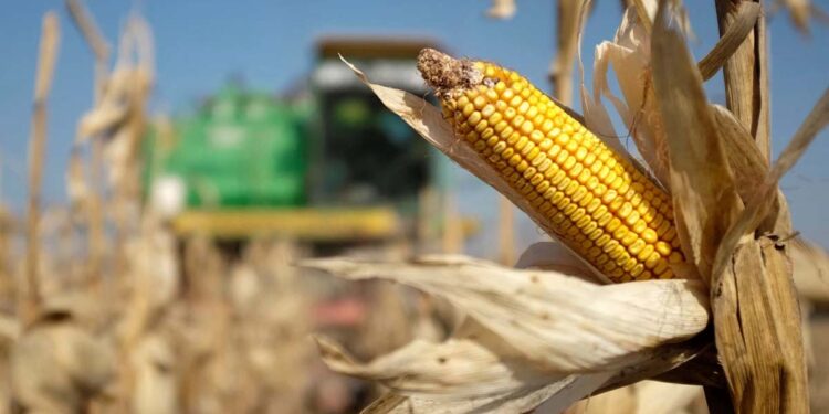 PNUD alerta sobre “múltiples crisis” que enfrenta el mundo, entre ellas la alimentaria