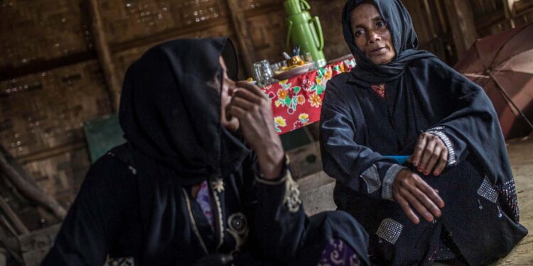 FAO teme un empeoramiento de la crisis agroalimentaria global en 2023