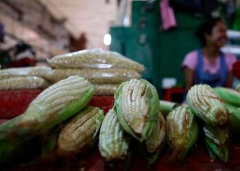 México aumentará la producción de alimentos básicos para combatir inflación
