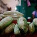 México aumentará la producción de alimentos básicos para combatir inflación