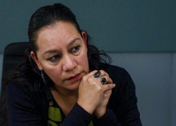 Cuatro de siete tramos del Tren Maya carecen de estudios de impacto ambiental