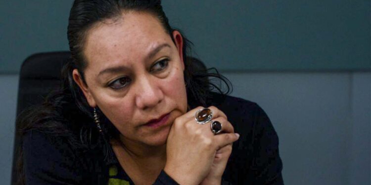 Cuatro de siete tramos del Tren Maya carecen de estudios de impacto ambiental