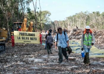 Juez frena el Tren Maya: ordena la suspensión definitiva de las obras en el tramo 5
