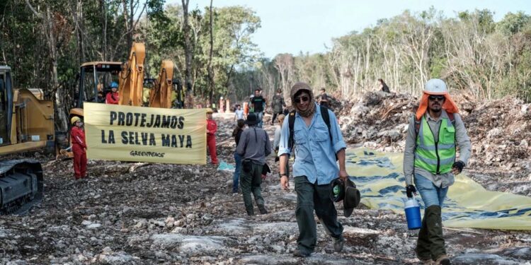 Juez frena el Tren Maya: ordena la suspensión definitiva de las obras en el tramo 5