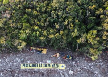 Juez otorga suspensión provisional contra todo el tramo 5 del Tren Maya