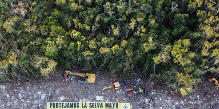 Juez otorga suspensión provisional contra todo el tramo 5 del Tren Maya