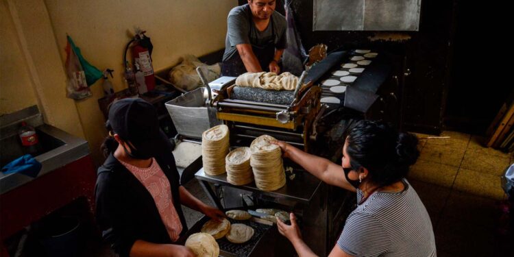 No sólo es la inflación. Mexicanos enfrentarán escasez de alimentos