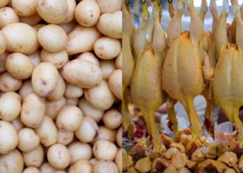 Precios del pollo y la papa se disparan en México