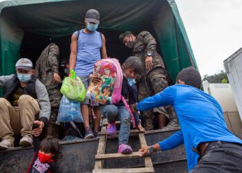 Cambio climático, pandemia y guerra avivan múltiples crisis alimentarias: ONU