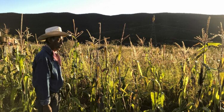 En 2022, 2.5 millones de mexicanos caerán en pobreza: Cepal