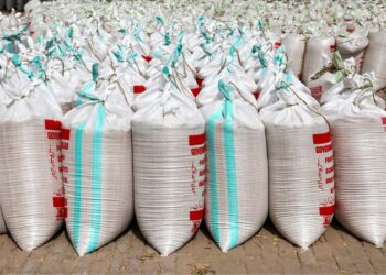 Importaciones de alimentos en camino a récord global; los pobres verán mayor impacto