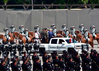 Creación de la Guardia Nacional ha llevado a México a la militarización: Causa en Común