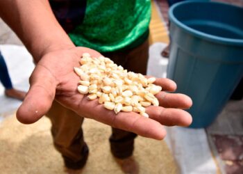 Inflación en México se acelera al ritmo más rápido desde 2001; se ubica en 7.99%